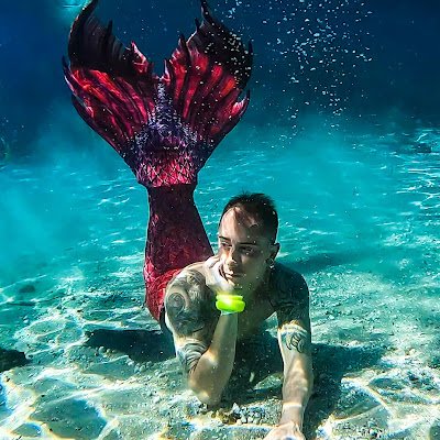 Life Is Better In The Water. PADI Advanced Mermaid. PADI Freediver 
📩 aquaantonio.official@gmail.com