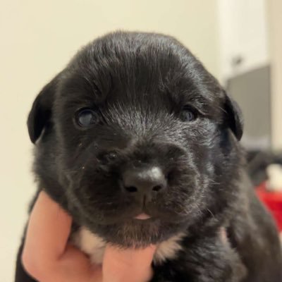 gavin526063's profile picture. 