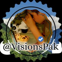 پاکستان ویژن(@VisionsPak) 's Twitter Profile Photo