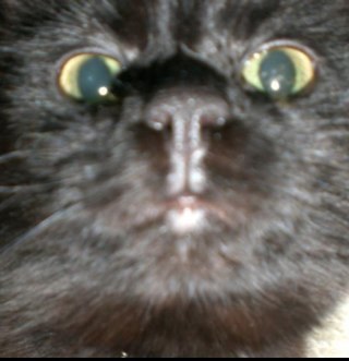 GuillaumeEvain's profile picture. Ingénieur et architecte réseaux informatiques et télécoms - Protégeons notre liberté d'expression :)