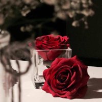 مريم محمد (@xgrkjrhdwyrmiyx) 's Twitter Profile