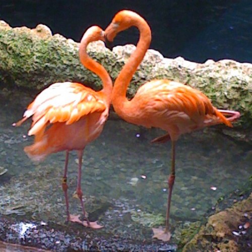 eighty4harris's profile picture. 