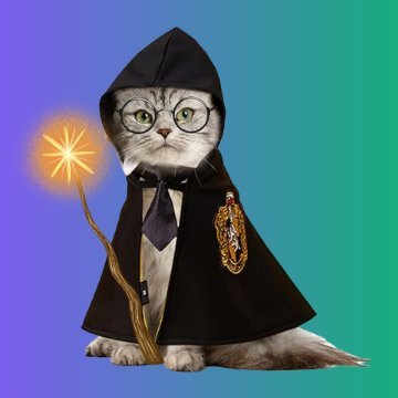 $WIZCAT live on https://t.co/tFBvOvcCf4 soon! 

TG: https://t.co/wtZcCeAih7