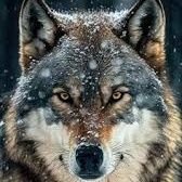 Char_PJP's profile picture. Viajar