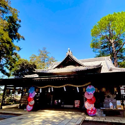 茨城県 下妻市 関東最古の八幡さま                                                              (Twitterでのお問合せや返信は行っておりません。)