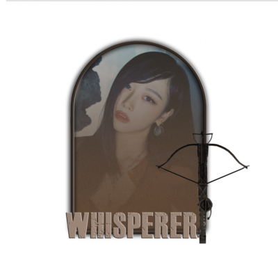 ☠️ WHISPERER 𖥔 Chzariena｡