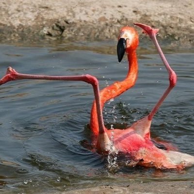 aiming46ft's profile picture. 