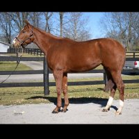 E&G Stable (@egstable) 's Twitter Profile