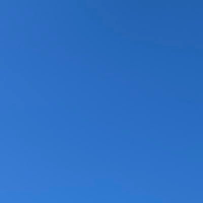 dumbbitch148527's profile picture. 