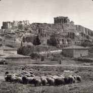 pollyvuu's profile picture. Digital finance pioneer | Carving paths with #XRP #BTC #ADA.