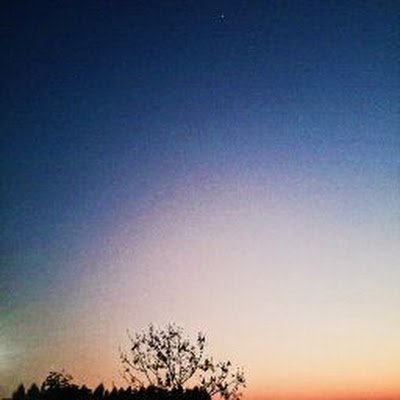 Jas259526960713's profile picture. 