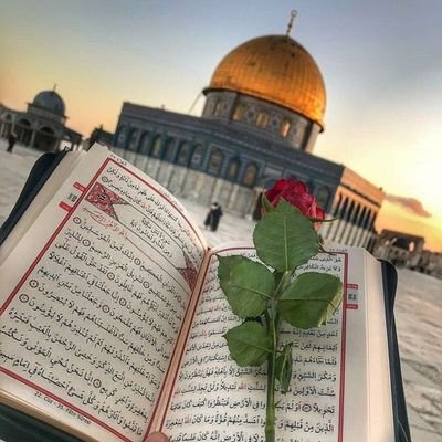 MohammedJidi's profile picture. JIDI