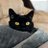 Viola_L's profile image