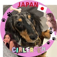Kicchi(きっち🇯🇵) (@kicchi_freench) 's Twitter Profile