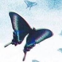 notgood_salmon (@mimi_ryoryo4438) 's Twitter Profile
