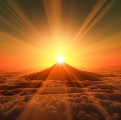 momokoshi7's profile picture. 🌊