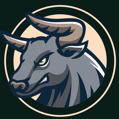 RideTheBullSol Profile Picture