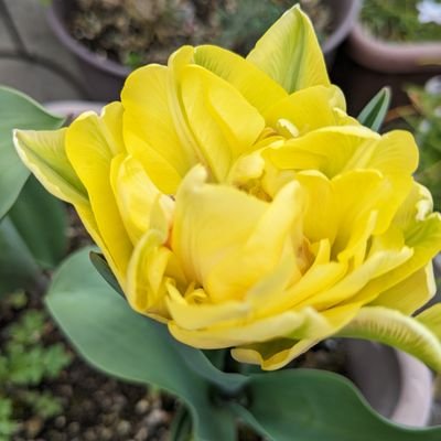 hime72285860's profile picture. 4月から高校男子のママです。最近、思春期にいっぱいいっぱい。flumpoolに2020年からハマりました。ポニーテールからビッケさんのフレンチリンクに加入、ツイッター不慣れですがよろしくお願いします。FL002462

p.s.中野愛子（アイコちゃん）さんは私のカメラ師匠、信川清順（セイジュン)も好き好き。