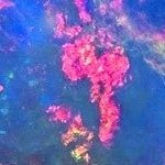 디오님 ꈍꈊꈍさんのプロフィール画像