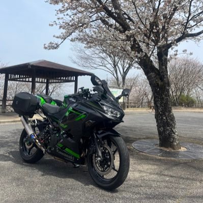 レブル250SE→ninja400🏍️に乗ってます😀 ツーリング先での食べ歩きや御朱印集めをやってます😙 YouTube開設目指してGoPro買いました✋