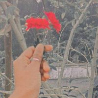 sumondd (@sumondd22087) 's Twitter Profile