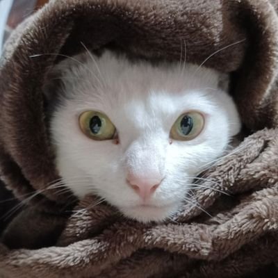 まいにゃん♡さんのプロフィール画像
