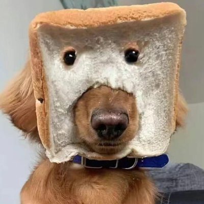 AbdDeus's profile picture. 三花聚顶本是幻，脚下腾云亦非真