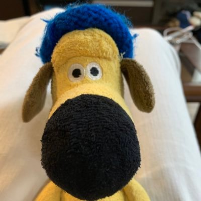 UdgTrj9SsI23852's profile picture. 