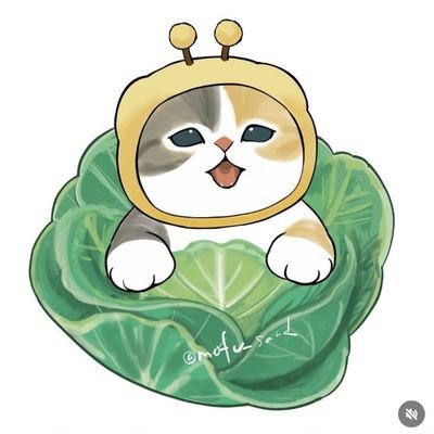 ゲーム垢になります(っ'ヮ'c) ゲーム垢のくせに日常多め:(っ'ヮ'c):無言フォロー失礼します(:D)┓ﾍﾟｺﾘﾝﾁｮ逆水待機ッ！βは琥珀で荘園楽しんでましたッ！