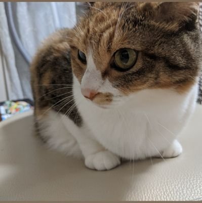 sue_kiti22's profile picture. 慶應通信 経済学部 78期(2024/4〜) 自由気ままに生きてます〜 📚