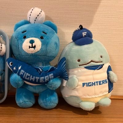 北海道日本ハムファイターズと馬好き(乗馬も)🎷吹き。道南在住。Fs#30#18#17#9基本はほぼ野球。地元の話題を見つけるとざわつく。 全球団マスコット好き。エロ垢・副業斡旋、共通話題が無い、興味の無いものは即ブロ。無言フォロー失礼します。