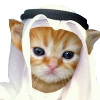 Habibi (حبيبي) (@habibihasmoved) 's Twitter Profile Photo Habibi (حبيبي) (@habibihasmoved) 's Twitter Profile Photo