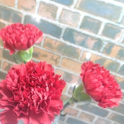 ｍ11＊ｍさんのプロフィール画像