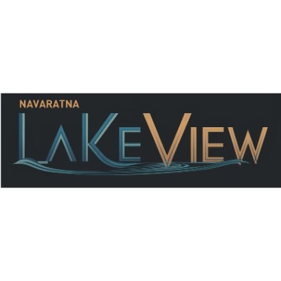 lakeview_x Profile Picture