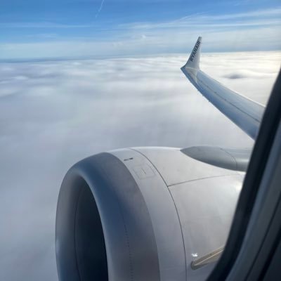 griffin_daire's profile picture. 