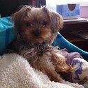 Laura Knutson - @lauraknutson - Twitter