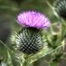 Scotland Today Online (@myscotlandtoday) Twitter profile photo Scotland Today Online (@myscotlandtoday) Twitter profile photo