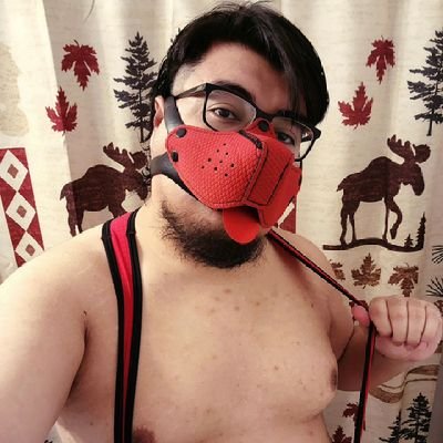 NSFW! 18+🏳️‍🌈 Cute Kinky Chubby Gamer Pup🐶 

Thicc boy with legs like a monster.

Me gustan los pechos, pies, furros y peludos. 🐻 
🦶Size10.5/Talla 29🦶