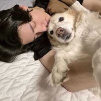 mecha rest (@jaeyunsimpn) 's Twitter Profile