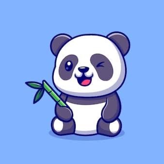 rolling_panda29's profile picture. 