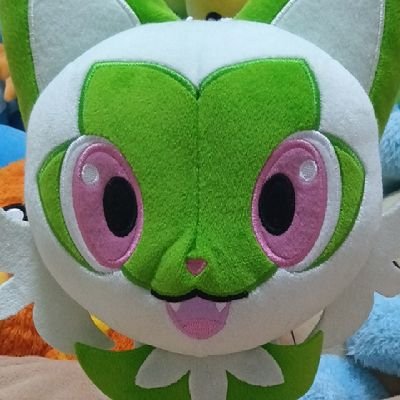 ポケモン、スプラ、カービィが好きです

好みが同じだったらフォローよろしくお願いします