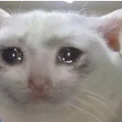 RobloxtoyX's profile picture. 