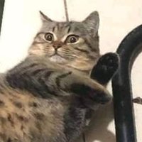 padfoot (@loveu_jd) 's Twitter Profile