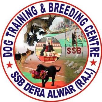 Dog Training & Breeding Centre, Dera,Reni, Alwar(Raj.)
Control Room No-01464-252100