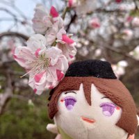 Kat/村人D(@kat_murabito_D) 's Twitter Profile Photo