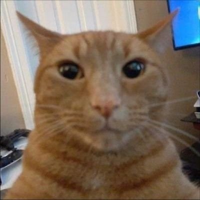 finnさんのプロフィール画像