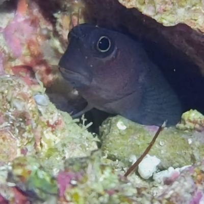 釣り、アウトドア関係、宝石収集、鉱石収集、盆栽、イモリ、苔リウム、マリンアクア、メダカ飼育
色んな情報共有できる趣味友が欲しいです(笑)