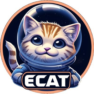 ElonCatFinance's profile picture. A USEFUL WEB3 ECOSYSTEM: STAKING | DEX EXCHANGE | NFT MARKET | MULTIPLE CHAIN

List to major CEXs right after presale:
📈 Bitmart 
📈 P2B 
📈 Croomsbit