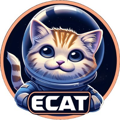 ElonCatFinance Profile Picture