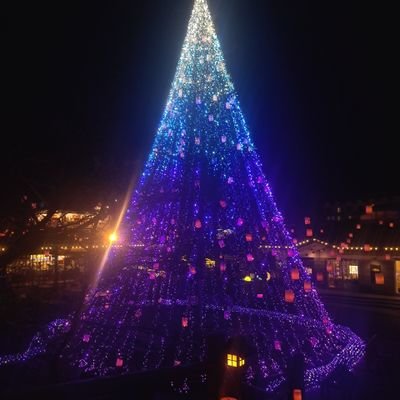 paradigmshift56's profile picture. the Peter Principle.
weiterhin lieben.